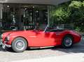 Austin-Healey 100 100/6 BN4 6-Zylinder Reihenmotor Rosso - thumbnail 1