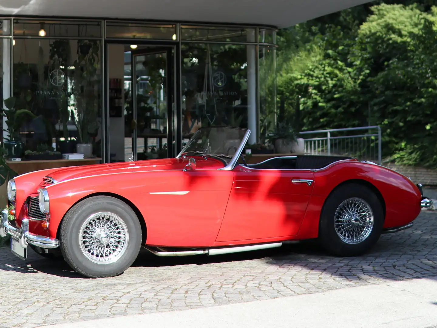 Austin-Healey 100 100/6 BN4 6-Zylinder Reihenmotor Rosso - 1