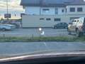 Nissan Qashqai Qashqai 1,5T e-Power N-Design+ N-Design+ Rot - thumbnail 12