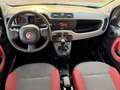 Fiat Panda 1.0 80cv natural power Easy - thumbnail 7