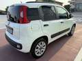 Fiat Panda 1.0 80cv natural power Easy - thumbnail 4