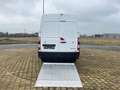 Renault Master L2H2 + lift 500 kg / Garantie / 28090,90 € htva Blanco - thumbnail 9
