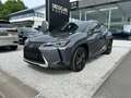 Lexus UX 250h 2.0i FWD/ Navi/ Carplay/ Camera/ Zetelverw/Headup Gris - thumbnail 1