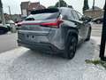 Lexus UX 250h 2.0i FWD/ Navi/ Carplay/ Camera/ Zetelverw/Headup Gris - thumbnail 5