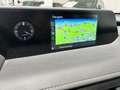 Lexus UX 250h 2.0i FWD/ Navi/ Carplay/ Camera/ Zetelverw/Headup Gris - thumbnail 13