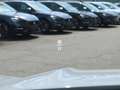 CUPRA Terramar VZ 2.0 TSI 195 kW 4Drive Sennheiser Blanc - thumbnail 19