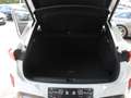 CUPRA Terramar VZ 2.0 TSI 195 kW 4Drive Sennheiser Blanc - thumbnail 6