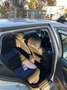 Volkswagen Golf 1.9 TDI - thumbnail 10