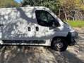 Citroen Jumper Jumper Camión 2.2 HDi 35 L Wit - thumbnail 5