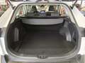 Toyota RAV 4 2.5 hybrid 2WD Business Blanco - thumbnail 17