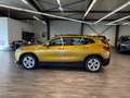 BMW X2 Baureihe X2 sDrive 18 i Advan HUD AHK Pano Na Gold - thumbnail 8