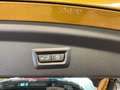 BMW X2 Baureihe X2 sDrive 18 i Advan HUD AHK Pano Na Gold - thumbnail 13