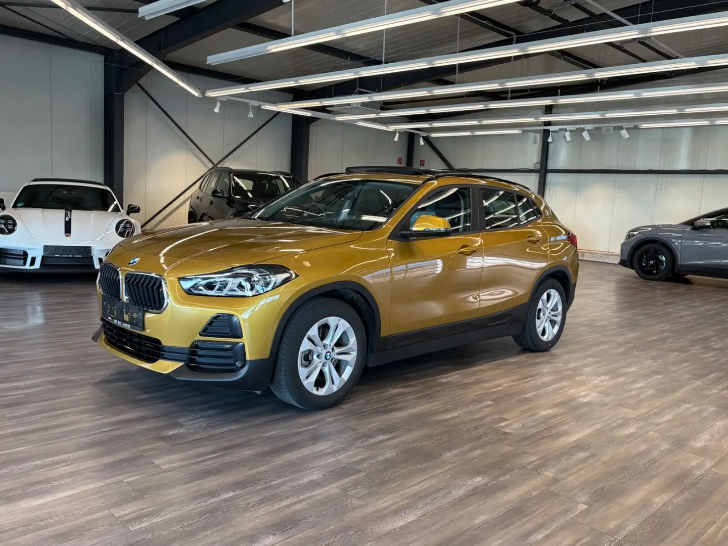 BMW X2 Baureihe X2 sDrive 18 i Advan HUD AHK Pano Na Gold - 1