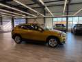 BMW X2 Baureihe X2 sDrive 18 i Advan HUD AHK Pano Na Gold - thumbnail 4