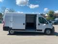 Opel Movano Kasten H2 35+ L3H2 BlueHDI 180 Weiß - thumbnail 5
