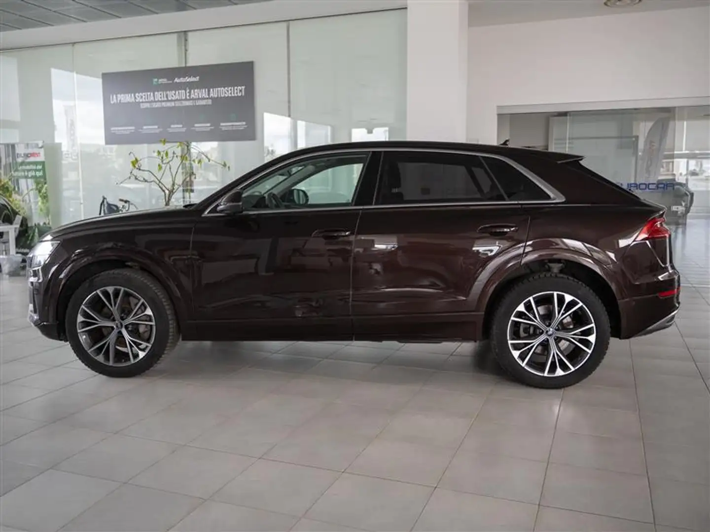 Audi Q8 45 TDI quattro 231Cv 36 mesi garanzia Brun - 2