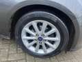 Ford Focus Wagon 1.0 TITANIUM 92 KW 6/12 M GARANTIE Grau - thumbnail 7