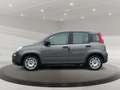 Fiat Panda 1.0 Mild-Hybrid DAB Radio Klima Grau - thumbnail 1
