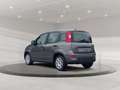 Fiat Panda 1.0 Mild-Hybrid DAB Radio Klima Grau - thumbnail 5