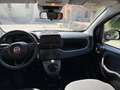 Fiat Panda 1.0 firefly hybrid s&s 70cv 5p.ti - thumbnail 8