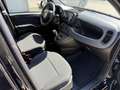 Fiat Panda 1.0 firefly hybrid s&s 70cv 5p.ti - thumbnail 1