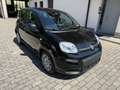 Fiat Panda 1.0 firefly hybrid s&s 70cv 5p.ti - thumbnail 3