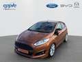Ford Fiesta 1.0 EcoBoost Start-Stop Individual Braun - thumbnail 1