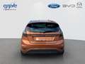 Ford Fiesta 1.0 EcoBoost Start-Stop Individual Braun - thumbnail 5