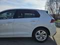 Volkswagen Golf *VERKAUFT* Weiß - thumbnail 8