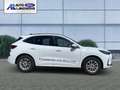 Ford Kuga Plug-In Hybrid ST-Line X 2.5 Duratec -PHEV EU6d HU Weiß - thumbnail 5