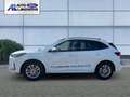 Ford Kuga Plug-In Hybrid ST-Line X 2.5 Duratec -PHEV EU6d HU Weiß - thumbnail 2