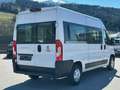 Fiat Ducato Kombi L2H2 33 140PS 8 Sitze *NETTO 36.709* Weiß - thumbnail 6