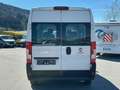 Fiat Ducato Kombi L2H2 33 140PS 8 Sitze *NETTO 36.709* Weiß - thumbnail 5