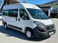 Fiat Ducato Kombi L2H2 33 140PS 8 Sitze *NETTO 36.709* Weiß - thumbnail 8