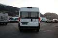 Fiat Ducato Kombi L2H2 33 140PS 8 Sitze *NETTO 36.709* Weiß - thumbnail 5
