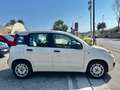 Fiat Panda 1.3 MJT 95 CV S&S Easy Blanco - thumbnail 8
