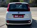 Fiat Panda 1.3 MJT 95 CV S&S Easy Blanco - thumbnail 5