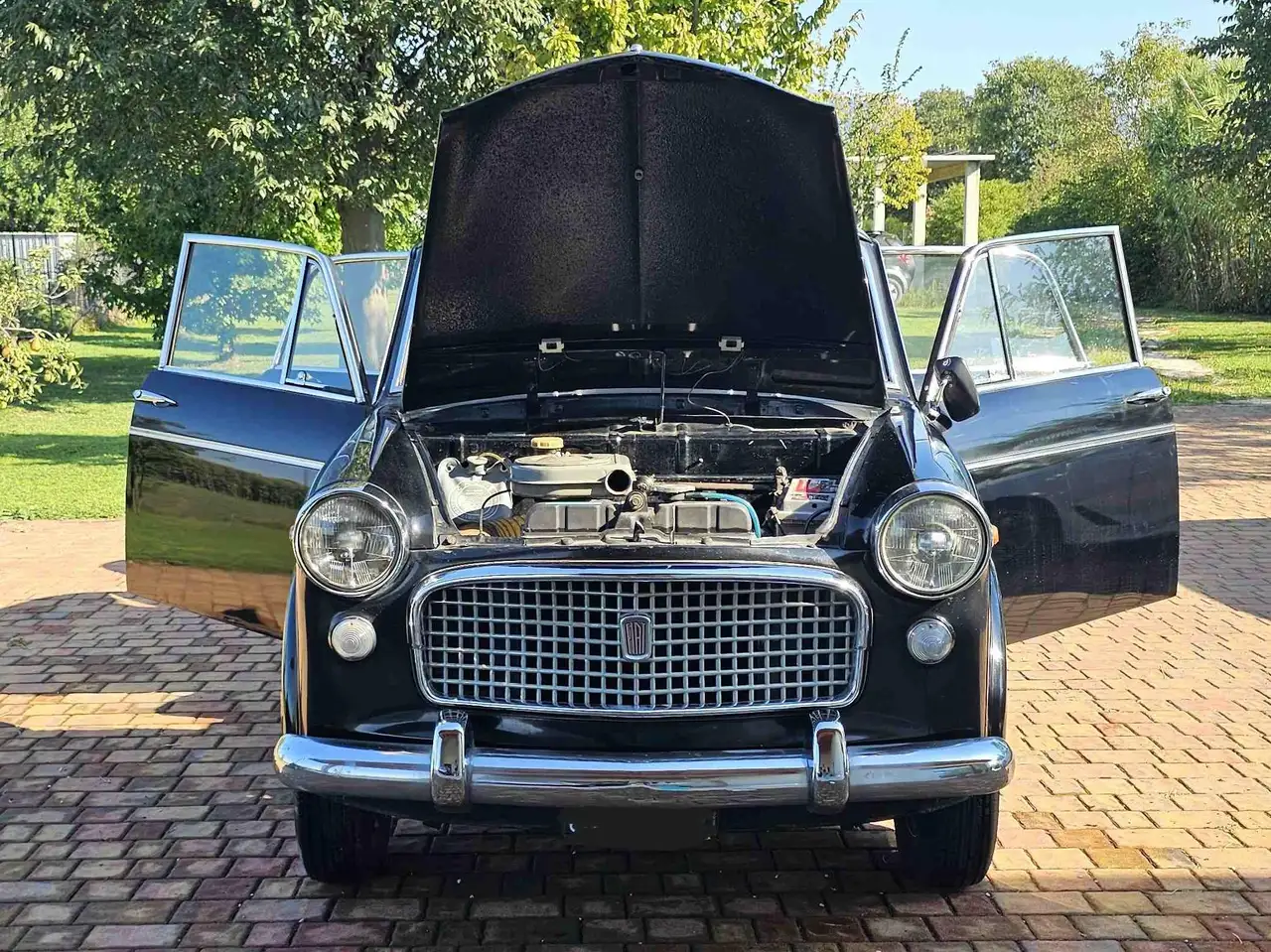 Fiat 1100 103 G special, foto 3