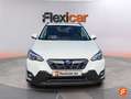 Subaru XV 2.0i Hybrid Executive Plus CVT Blanco - thumbnail 2