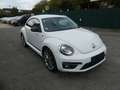 Volkswagen Beetle Lim. Club BMT DSG Weiß - thumbnail 4