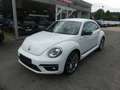Volkswagen Beetle Lim. Club BMT DSG Weiß - thumbnail 2
