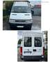 Iveco Daily CHASSIS DBLE CAB 35C14D 3.5T EMP 3450 Blanc - thumbnail 4