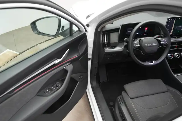 Skoda Kodiaq view 12