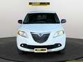 Lancia Ypsilon Ypsilon 0.9 TwinAir 85 CV 5 porte Metano Ecochic Bianco - thumbnail 2