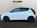 Lancia Ypsilon Ypsilon 0.9 TwinAir 85 CV 5 porte Metano Ecochic Bianco - thumbnail 3