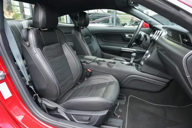 Ford Mustang view 12