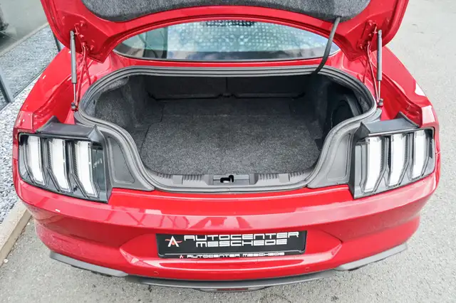 Ford Mustang view 8