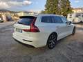 Volvo V60 V60 II 2.0 t6 te Business Plus awd geartronic my20 Blanco - thumbnail 4