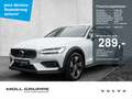 Volvo V60 Cross Country B4 AWD Ultimate Pano 360Grad 4xShz Weiß - thumbnail 1