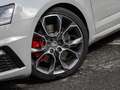 Skoda Octavia 2.0 TSI RS SHZ PDC NAVI PANORAMA-GLASSCHIEBEDACH Grau - thumbnail 10